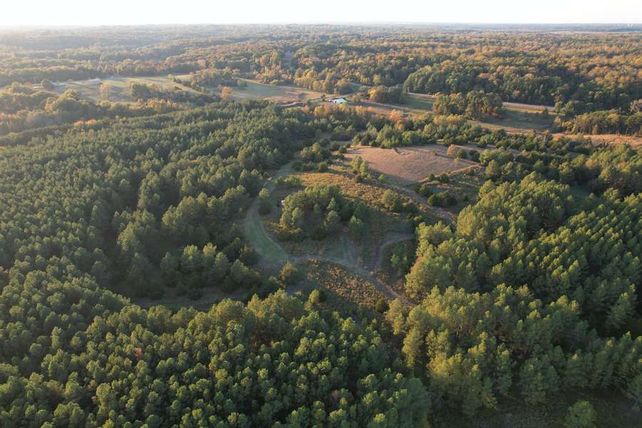 Escape to the Pines – 41 Wooded Acres with Hunting & Building Potential